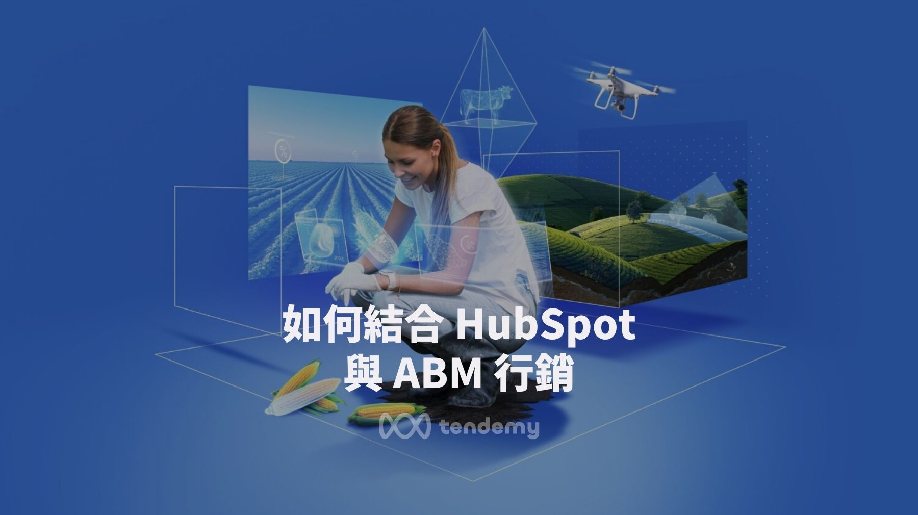 如何結合 HubSpot 與 ABM 策略 (帳戶型行銷)？